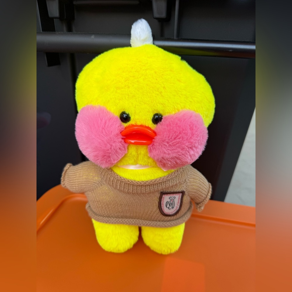 COPY - Cute 11” duck
